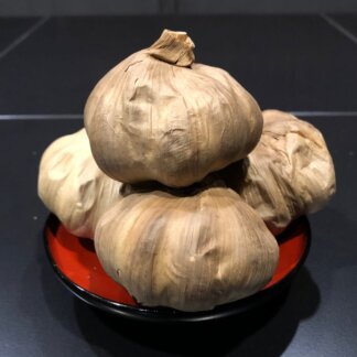 Bulb's Regular (for 1 month)